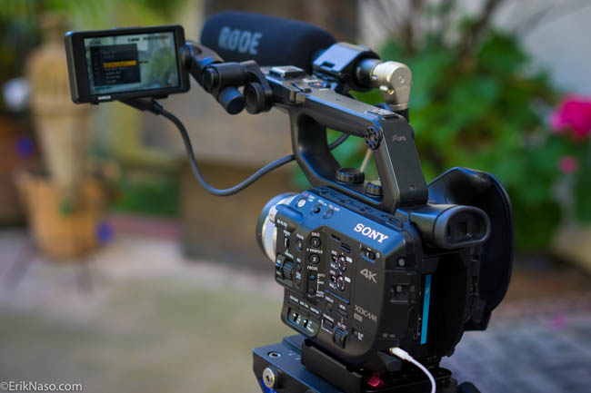 FS5 with RODE NTG