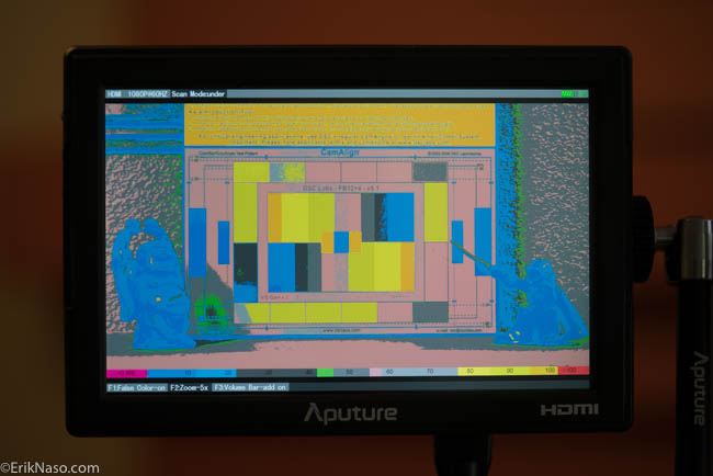 Aputure VS5_ False Color